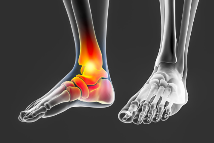huesos del pie